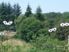 yeux-pringues